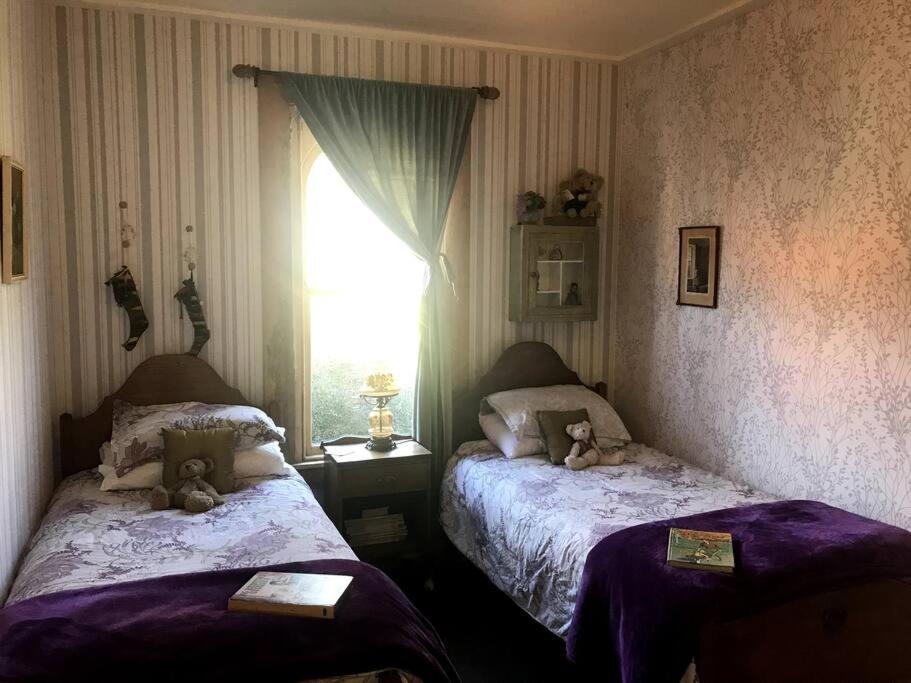 Oakura Pond Cottage - A Unique Kiwi Holiday Bach Экстерьер фото