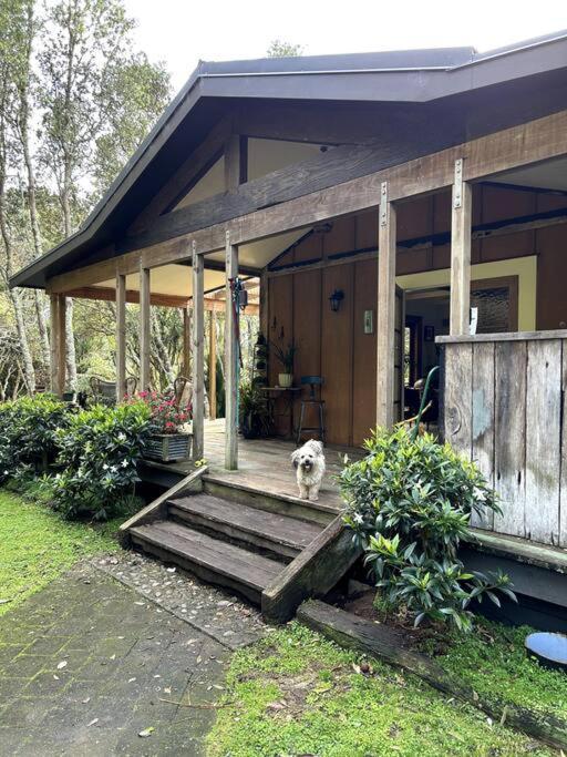 Oakura Pond Cottage - A Unique Kiwi Holiday Bach Экстерьер фото